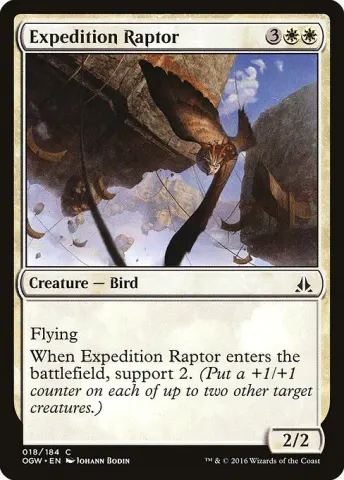 Expedition Raptor · 18