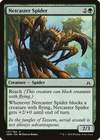 Netcaster Spider · 137