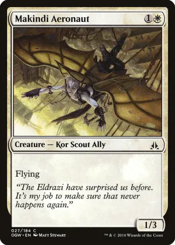 Makindi Aeronaut · 27
