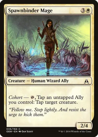 Spawnbinder Mage · 35