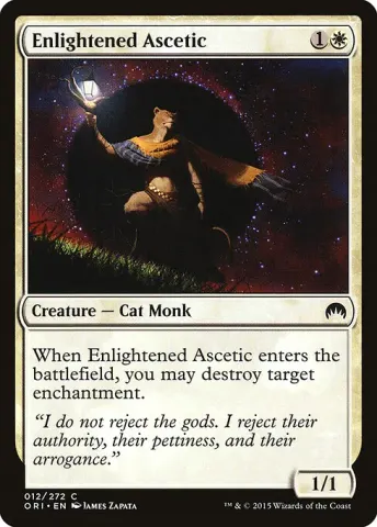 Enlightened Ascetic · 12