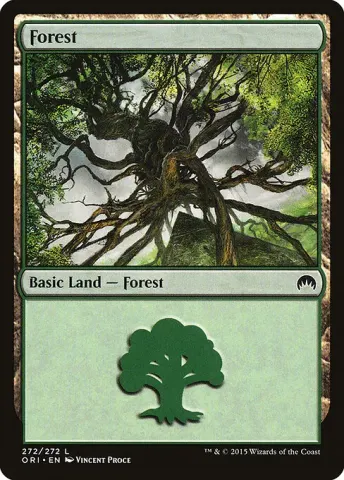 Forest · 272