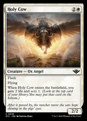 Holy Cow · 16