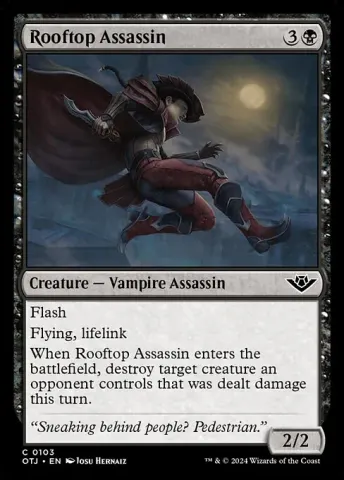 Rooftop Assassin · 103