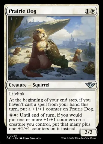 Prairie Dog · 24