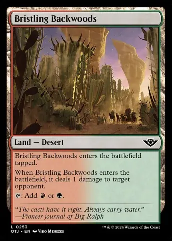 Bristling Backwoods · 253