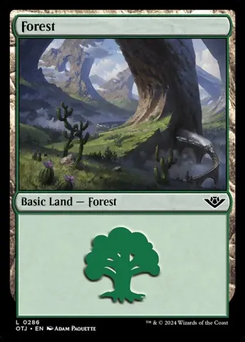 Forest · 286