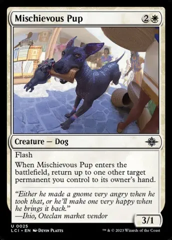 Mischievous Pup · 25