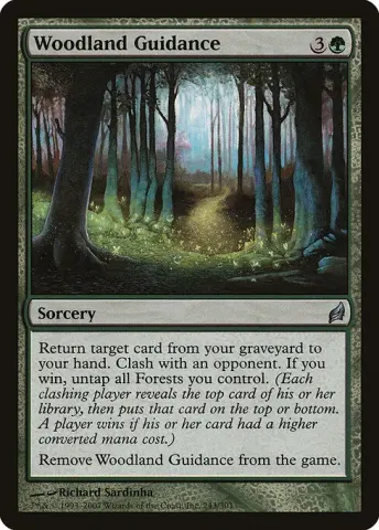 Woodland Guidance · 243