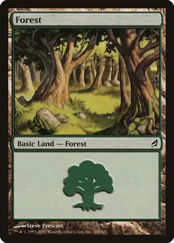 Forest · 300