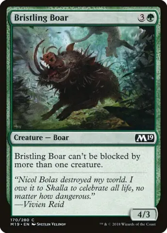 Bristling Boar · 170
