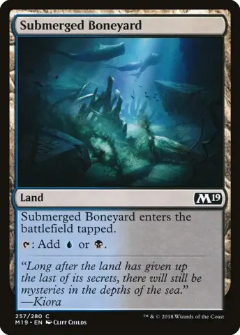 Submerged Boneyard · 257