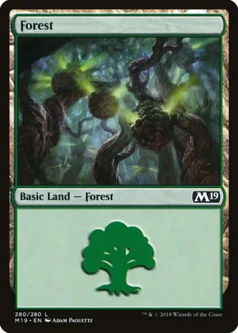 Forest · 280