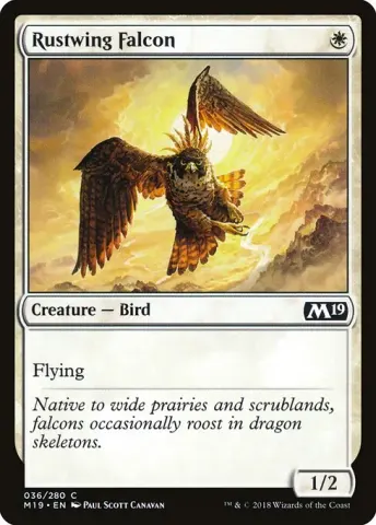 Rustwing Falcon · 36