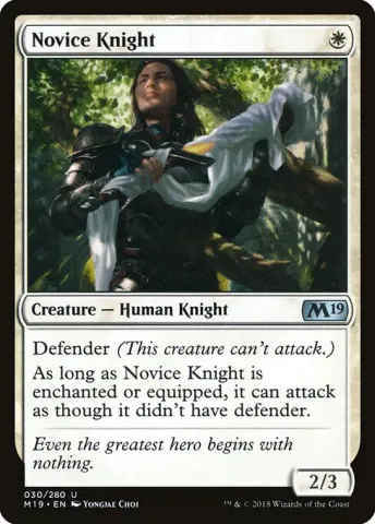 Novice Knight · 30