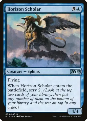 Horizon Scholar · 59