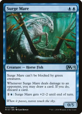 Surge Mare · 77