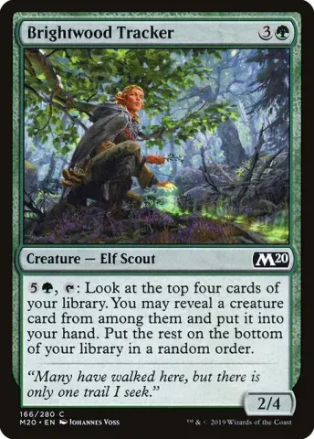 Brightwood Tracker · 166