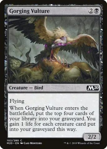 Gorging Vulture · 102