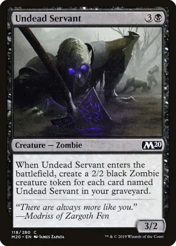 Undead Servant · 118