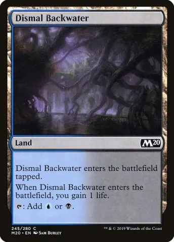 Dismal Backwater · 245