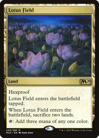 Lotus Field · 249
