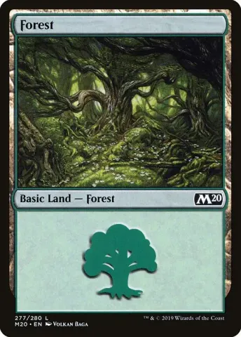 Forest · 277