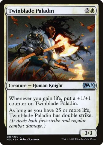 Twinblade Paladin · 285
