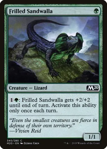 Frilled Sandwalla · 340