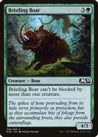 Bristling Boar · 338