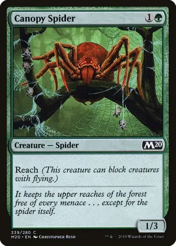 Canopy Spider · 339