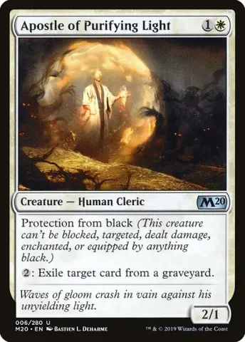 Apostle of Purifying Light · 6