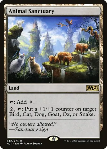 Animal Sanctuary · 242