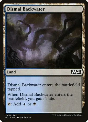Dismal Backwater · 245