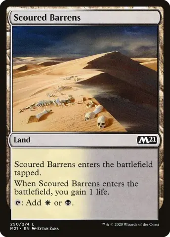 Scoured Barrens · 250