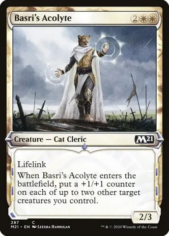 Basri's Acolyte · 287