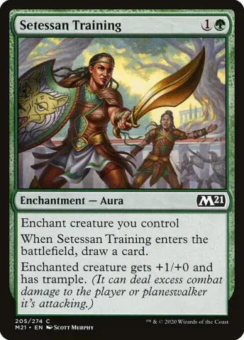 Setessan Training · 205