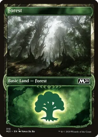 Forest · 313