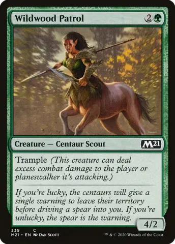 Wildwood Patrol · 339