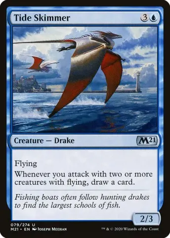 Tide Skimmer · 79