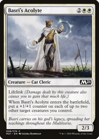 Basri's Acolyte · 8