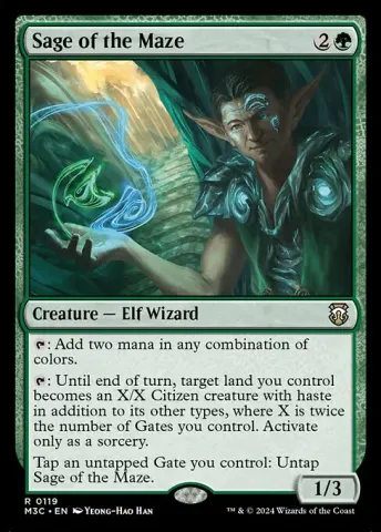 Sage of the Maze · 119
