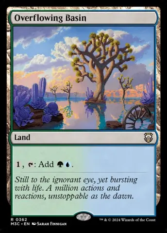 Overflowing Basin · 362