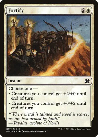 Fortify · 17