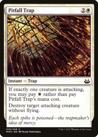 Pitfall Trap · 18