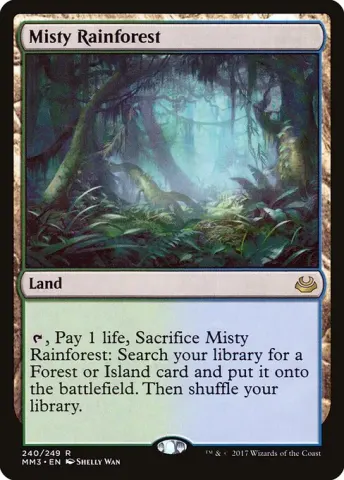 Misty Rainforest · 240