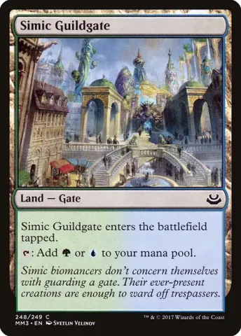 Simic Guildgate · 248