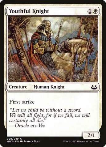 Youthful Knight · 29