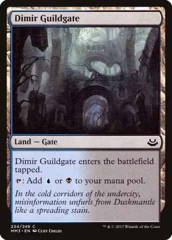 Dimir Guildgate · 234