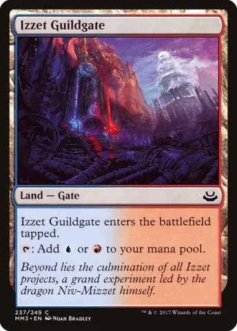 Izzet Guildgate · 237